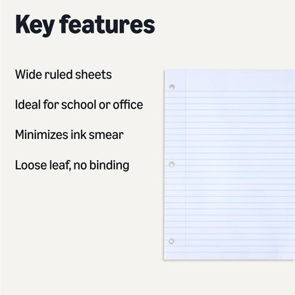 Amazon Basics Loose Leaf – 150 Sheets