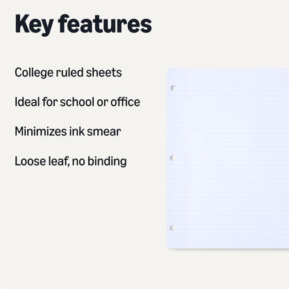 Amazon Basics Loose Leaf – 150 Sheets