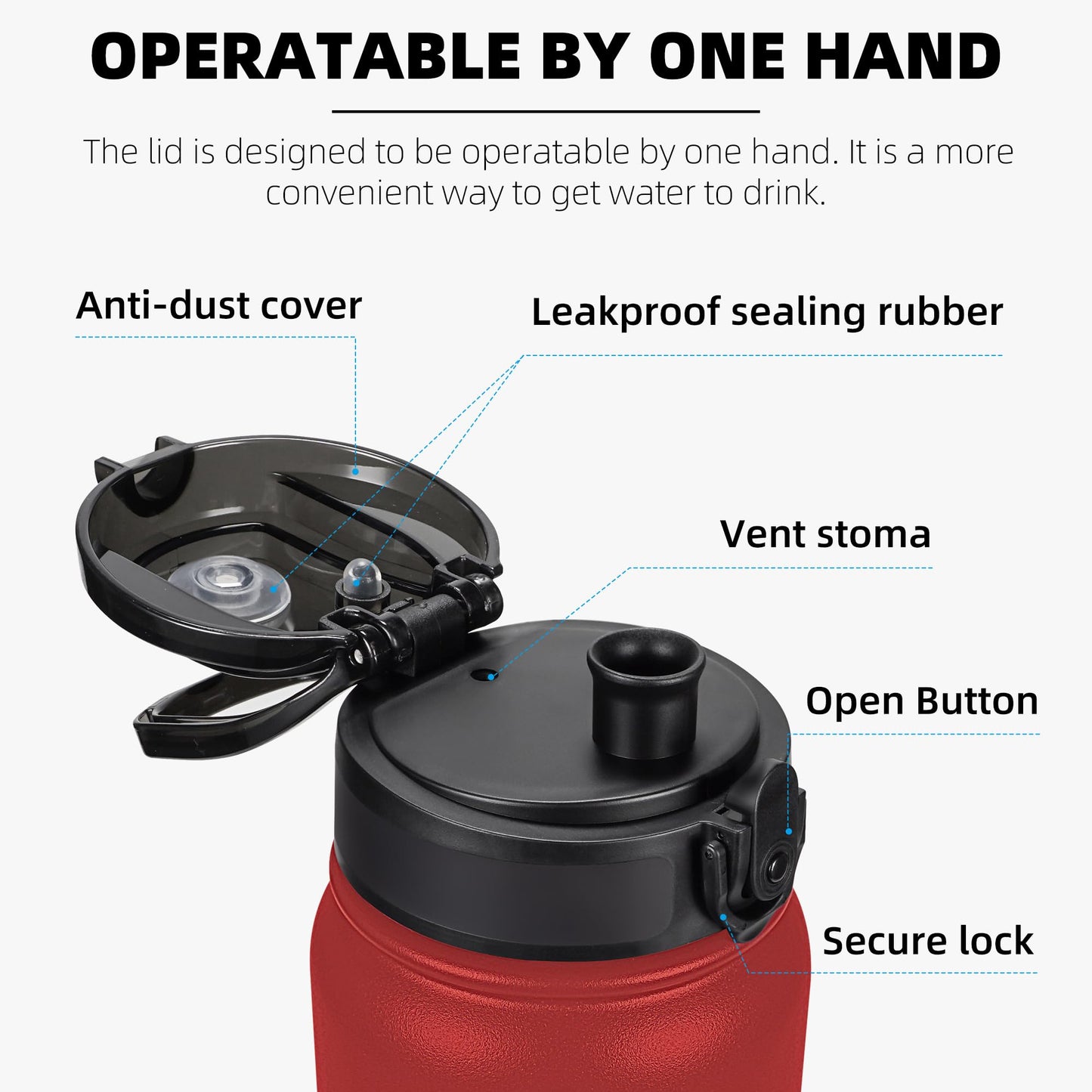 Fanhaw 20oz Insulated Water Bottle