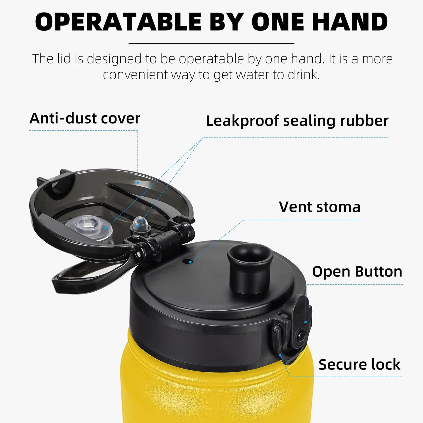 Fanhaw 20oz Insulated Water Bottle